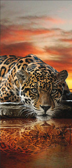 Jaguar Against the Setting Sun Door Mural Photo Wallpaper 126VET