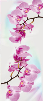 Orchid Flower Floral Door Mural Photo Wallpaper 116VET