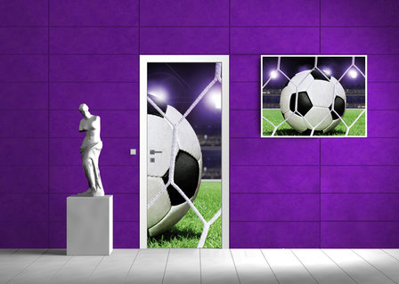 Ball in Goal Door Mural Photo Wallpaper 155VET