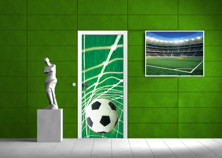 Ball in Goal Door Mural Photo Wallpaper 015VET