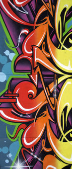 Colourful Graffiti Door Mural Photo Wallpaper 140VET