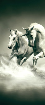 Unicorns Galloping on Water Door Mural Photo Wallpaper 430VET