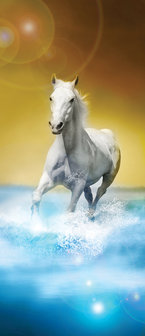 White Horses Galloping on Water Door Mural Photo Wallpaper 425VET