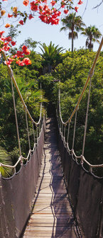 Bridge over the Jungle Door Mural Photo Wallpaper 250VET