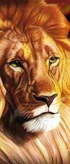 Lion Landscape Sunset Door Mural Photo Wallpaper 433VET