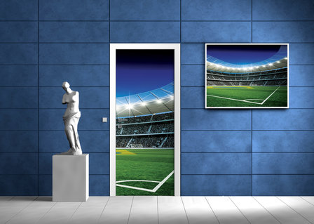 Football Pitch Door Mural Photo Wallpaper 1213VET