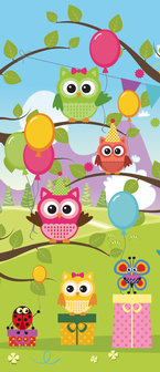 Owl Boys Girls Childrens Door Mural Photo Wallpaper 1375VET