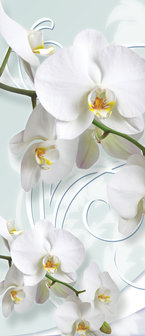 Orchid Flower Floral Door Mural Photo Wallpaper 1206VET