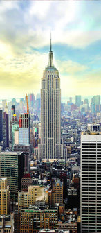 New York Panorama Door Mural Photo Wallpaper 2317VET