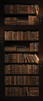 Library Full of Books Door Mural Photo Wallpaper 3690VET