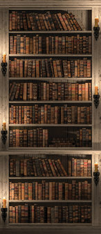 Library Full of Books Door Mural Photo Wallpaper 3688VET