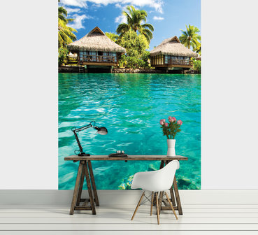 Non Woven Photo Wall Mural 20461VEA