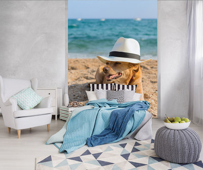 Dog in a Hat on a Beach Photo Wall Mural 10399VEA