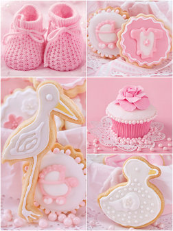 Baby Shoes and Pink Cupcakes Photo Wall Mural 10445VEA