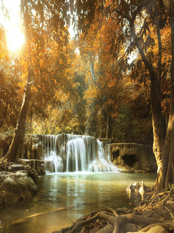 Waterfall in the Autumn Forest Photo Wall Mural 10470VEA