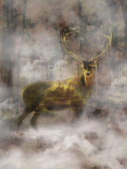 Gold Deer In the Foggy Forest Photo Wall Mural 10033VEA