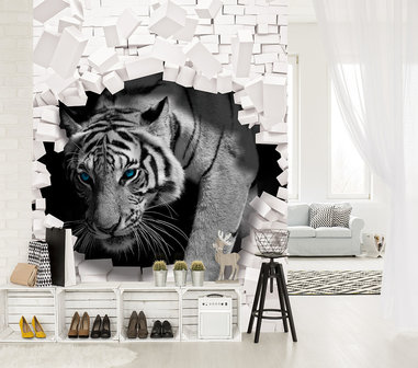 3D Tiger Coming out the Wall Photo Wall Mural 10400VEA