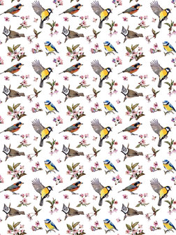 Little Birds and Floral Patterns Photo Wall Mural 10401VEA