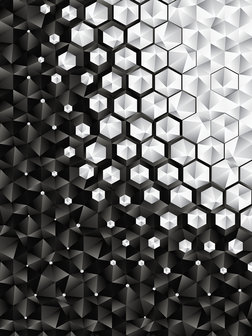 3D Hexagons  Photo Wall Mural 10684VEA