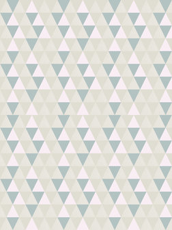 Gray Triangles Photo Wall Mural 10729VEA