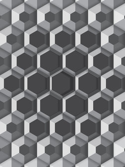 3D Hexagons Photo Wall Mural 10761VEA