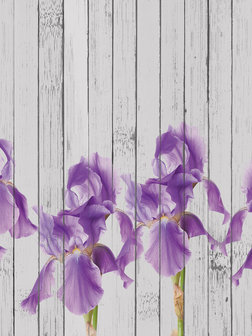 Irises on Wooden Boards Photo Wall Mural 10951VEA