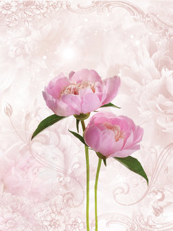 Pink Peony Photo Wall Mural 10295VEA