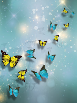 Yellow and Blue Butterflies Photo Wall Mural 10225VEA