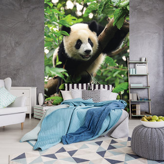 Panda Bear on the Tree Photo Wall Mural 10238VEA