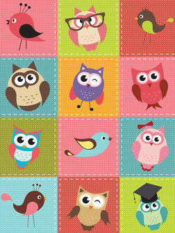 Birds and Owls Patchwork Photo Wall Mural 10376VEA