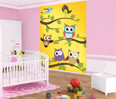 Colourful Owls on the Branches Photo Wall Mural 10377VEA