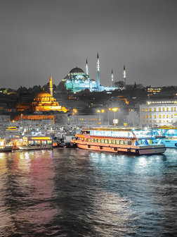 City Panorama from the River View Photo Wall Mural 10152VEA