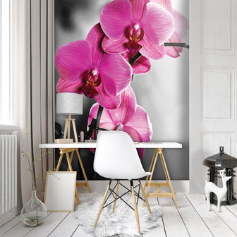 Pink Orchid Photo Wall Mural 10155VEA