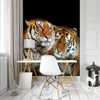 Tigers Photo Wall Mural 10173VEA