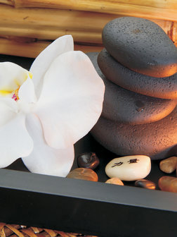 SPA Orchid and Stones Photo Wall Mural 10188VEA