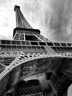 Eiffel Tower Photo Wall Mural 10215VEA