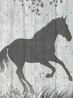 Horse Shadows on Gray Wall Photo Wall Mural 20302VEA