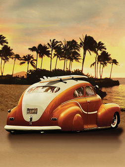 Beetle on the Beach Photo Wall Mural 20317VEA