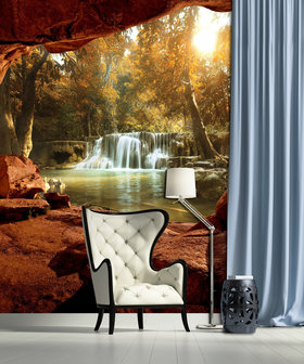 Canyon - Forest Photo Wall Mural 10261VEA