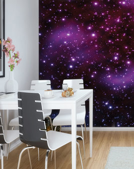 Cosmos Photo Wall Mural 20388VEA