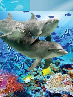 Dolphin Photo Wall Mural 20405VEA