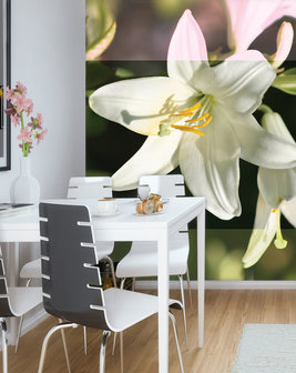 Flowers Photo Wall Mural 20406VEA