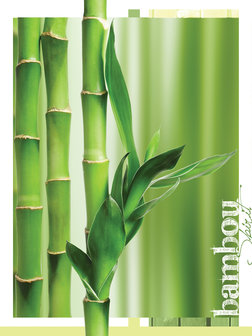 Bamboo Photo Wall Mural 20411VEA