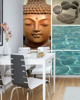 Buddha Photo Wall Mural 20420VEA