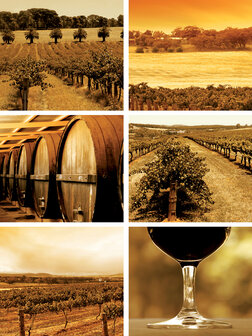 Wine Photo Wall Mural 20421VEA