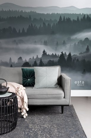 Esta XL2 - Photowalls | Scandi Cool 158910 (FREE Glue Included!)