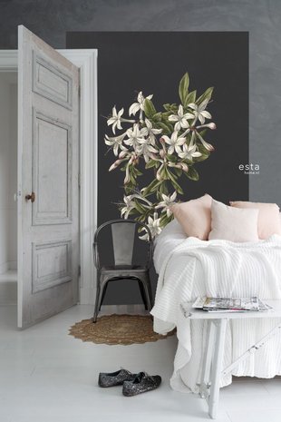 Esta XL2 - Photowalls | Blush 158885 (FREE Glue Included!)