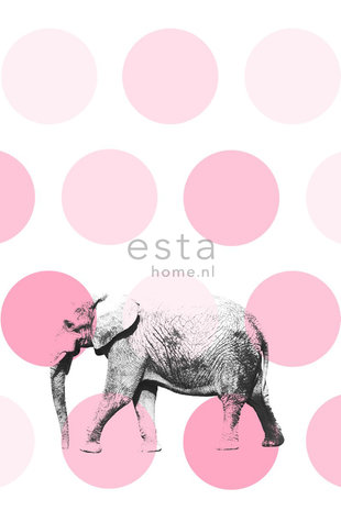 Esta Walls for Kids XL2 | Everybody Bonjour 158708 (FREE Glue Included!)