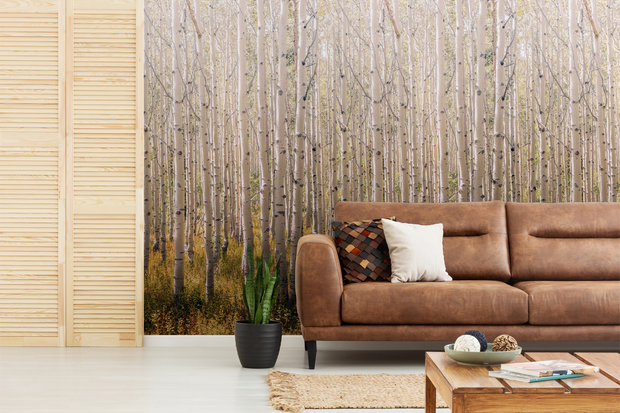 Dutch Wallcoverings Birch Tree  One Roll One Motif - Grandeco A42601