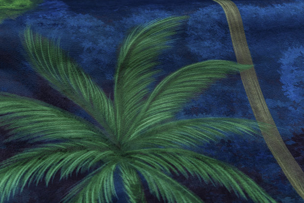 Arte D&eacute;cors &amp; Panoramiques - Ciel Tropical Bright Midnight 97650